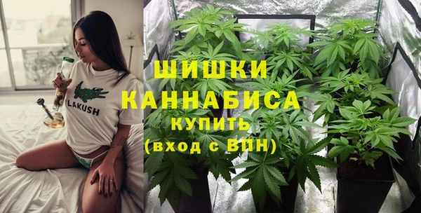 крисы Армянск