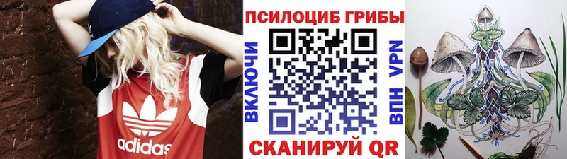Галлюциногенные грибы Magic Shrooms  Шадринск 